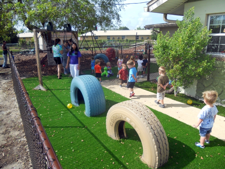 Grass Carpet Meadow Woods, Florida Lawn And Landscape, Commercial Landscape