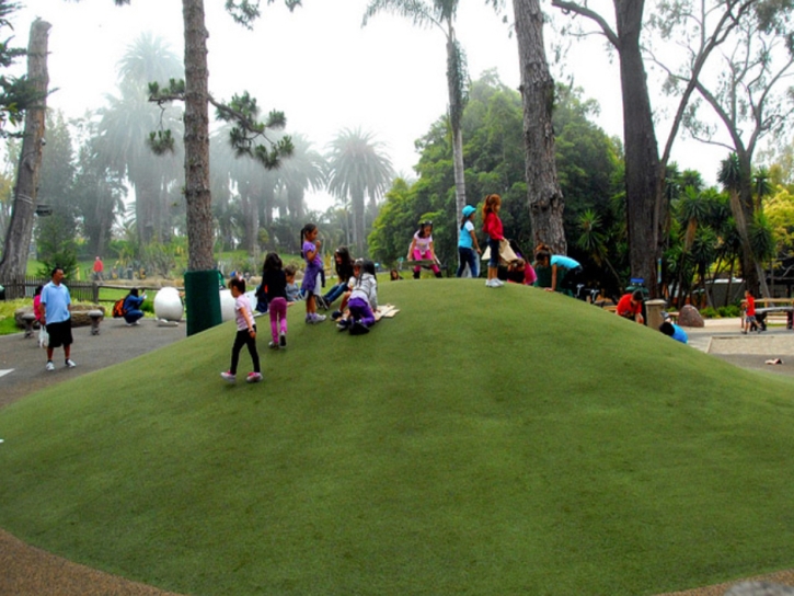 Grass Carpet Memphis, Florida Athletic Playground, Recreational Areas