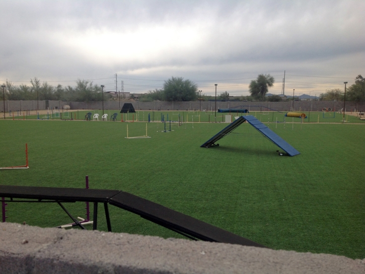 Grass Carpet Pineland, Florida Bocce Ball Court, Recreational Areas