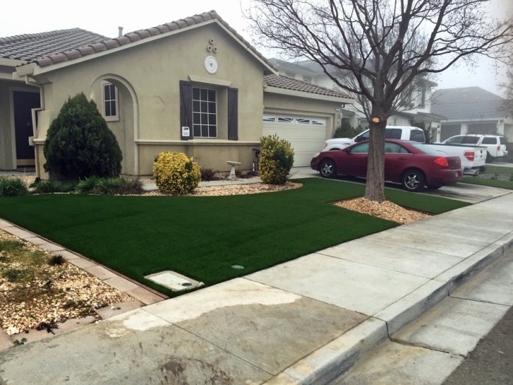 Grass Carpet Silver Lake, Florida Landscape Ideas, Front Yard Design