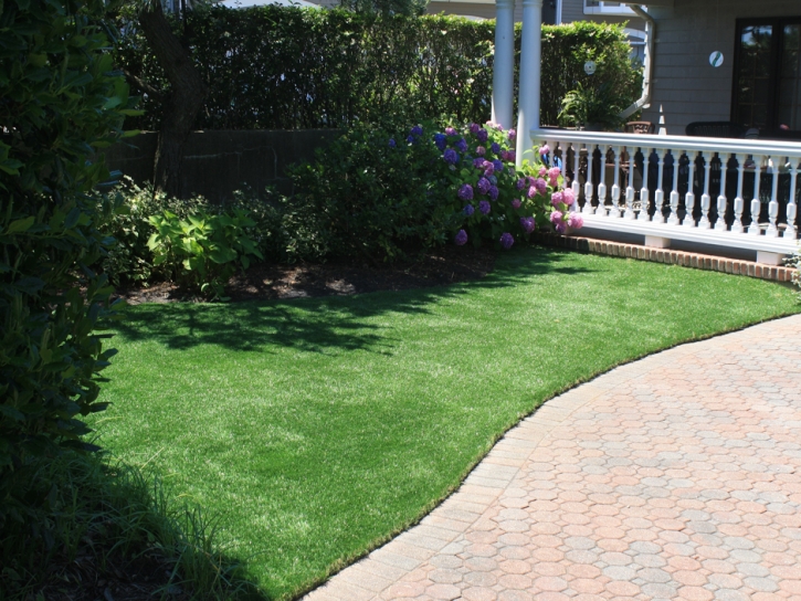 Grass Carpet Wabasso Beach, Florida Grass For Dogs, Front Yard