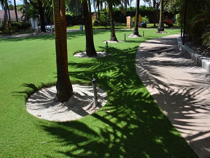 Grass Carpet Wiscon, Florida Landscape Photos, Commercial Landscape