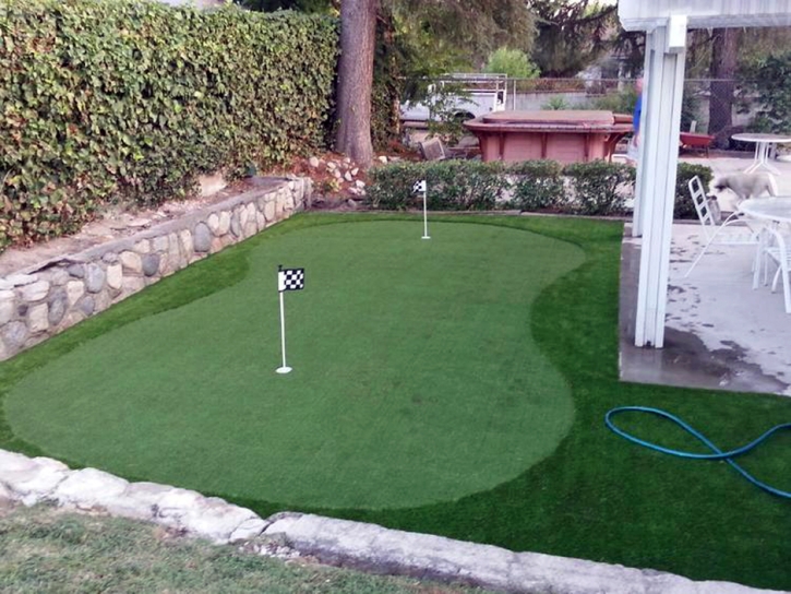 Grass Installation Bonita Springs, Florida Landscape Ideas, Backyard