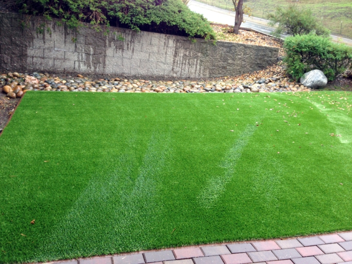 Grass Installation Carrollwood Village, Florida Landscape Rock, Backyard Landscaping