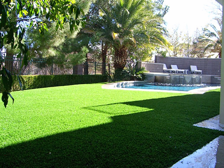 Grass Installation Clarcona, Florida Roof Top, Pool Designs