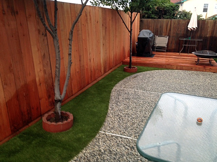 Grass Installation Nocatee, Florida Hotel For Dogs, Backyard Ideas