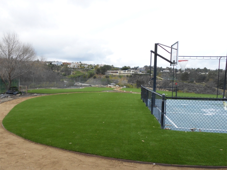 Grass Turf Cheval, Florida High School Sports, Commercial Landscape