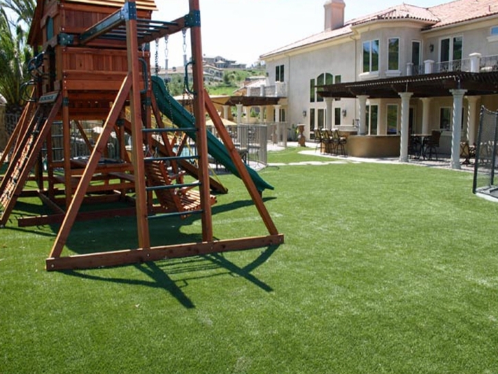 Grass Turf Combee Settlement, Florida Backyard Deck Ideas, Backyard Landscaping Ideas