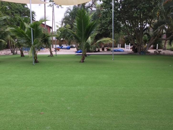 Grass Turf Lockhart, Florida Lawn And Landscape, Commercial Landscape