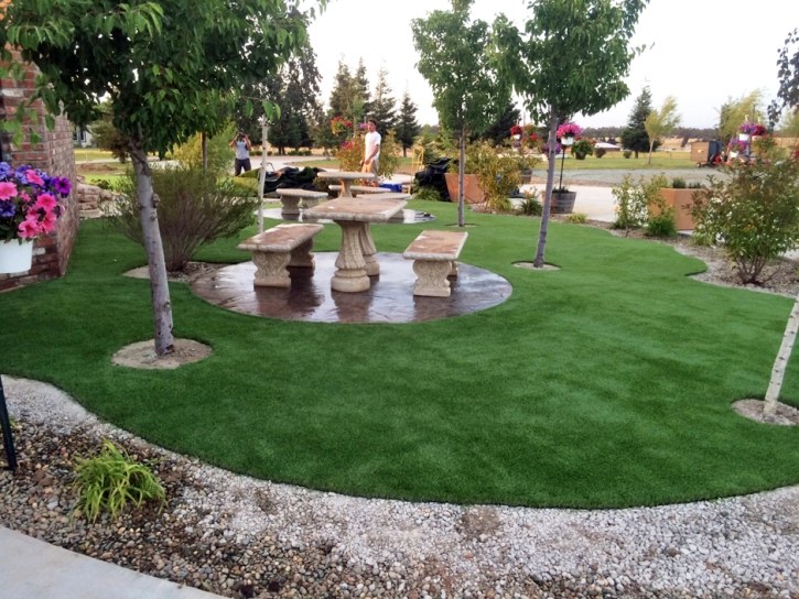 Grass Turf New Port Richey, Florida Lawn And Landscape, Commercial Landscape