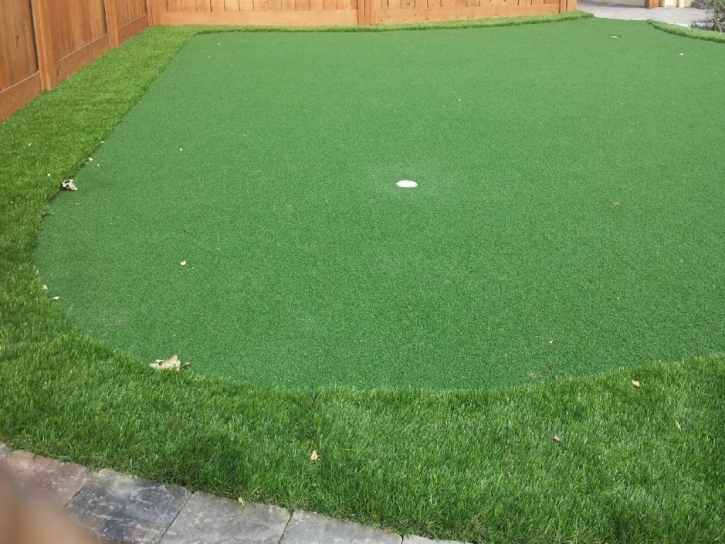 Grass Turf North Sarasota, Florida Outdoor Putting Green