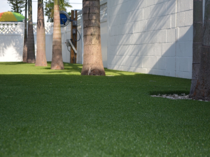 Grass Turf Orlando, Florida Backyard Deck Ideas, Commercial Landscape