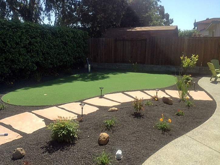 Grass Turf Palm Harbor, Florida Landscaping, Backyard Landscape Ideas