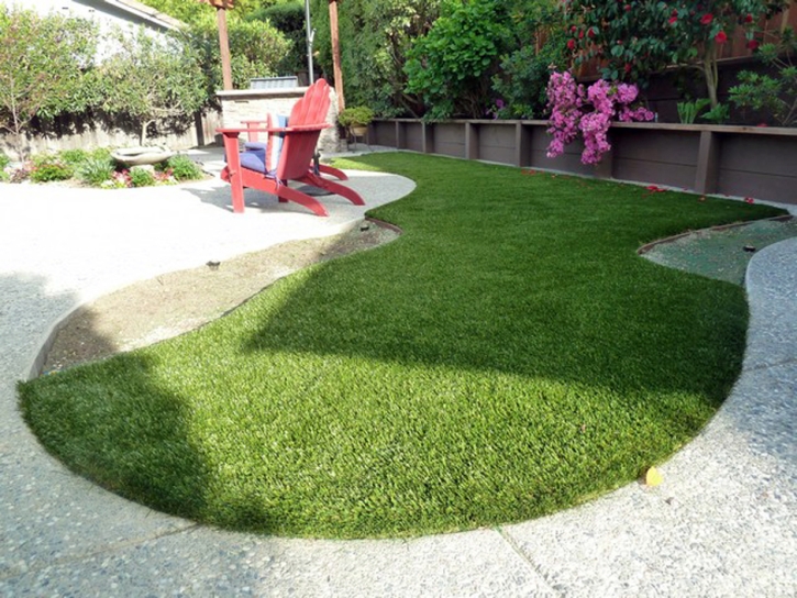 Grass Turf Tavares, Florida Garden Ideas, Backyard Landscaping Ideas