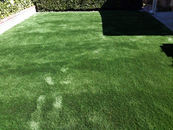 Grass Turf Town n Country, Florida Landscape Design, Backyard Landscape Ideas