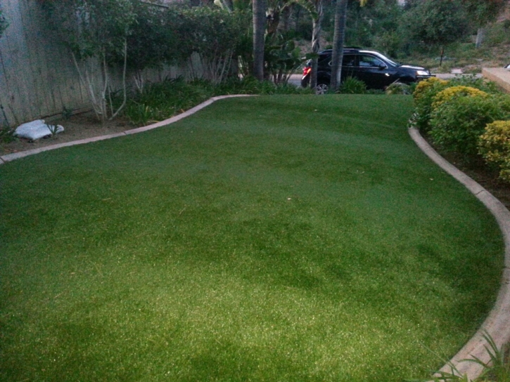 Grass Turf Umatilla, Florida Roof Top, Front Yard Landscaping