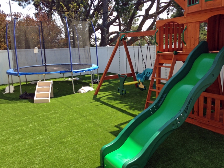 Green Lawn Deltona, Florida Backyard Playground, Backyard