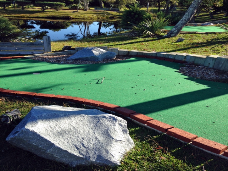 Green Lawn Willow Oak, Florida Indoor Putting Green, Backyard Design