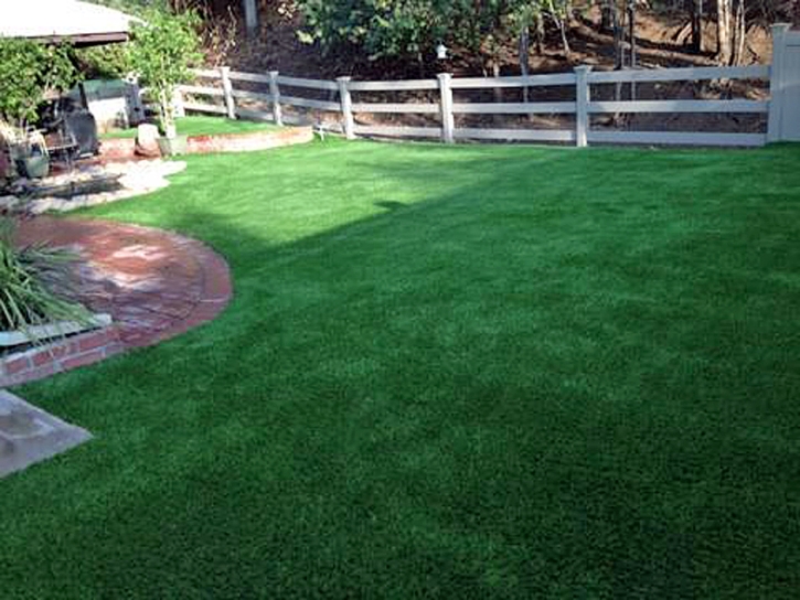 How To Install Artificial Grass Holmes Beach, Florida Dog Grass, Backyard Landscape Ideas