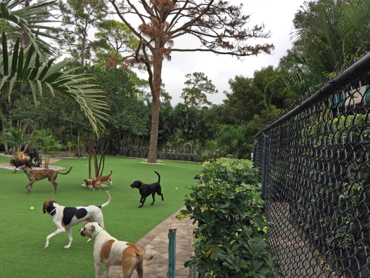 How To Install Artificial Grass Limestone, Florida Artificial Grass For Dogs, Commercial Landscape