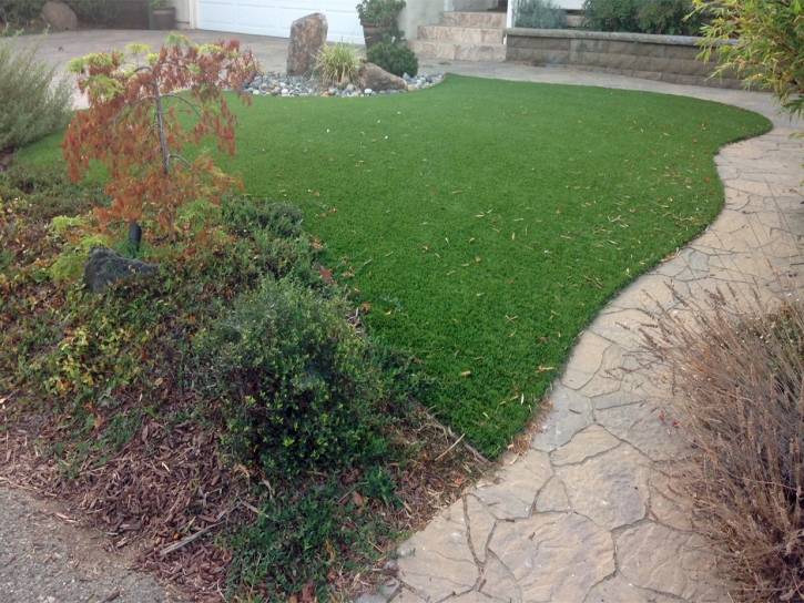 How To Install Artificial Grass Trilby, Florida Pictures Of Dogs, Backyard Landscaping