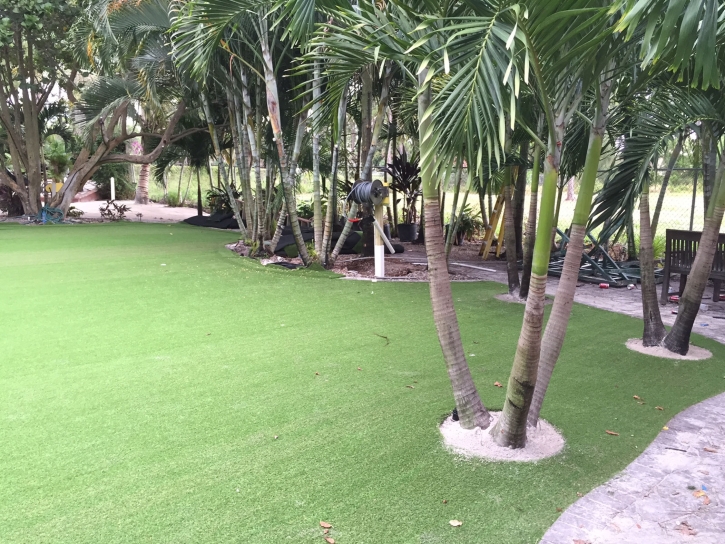 Installing Artificial Grass Lake Hart, Florida Rooftop, Commercial Landscape