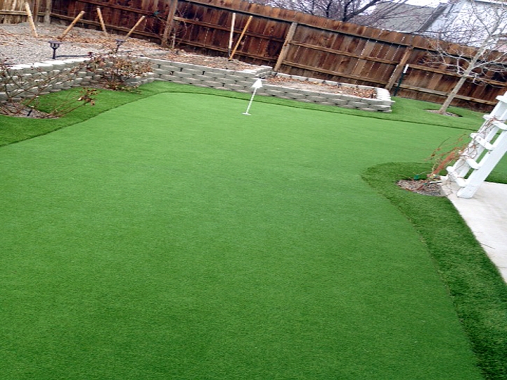 Lawn Services Okahumpka, Florida Indoor Putting Green, Backyards