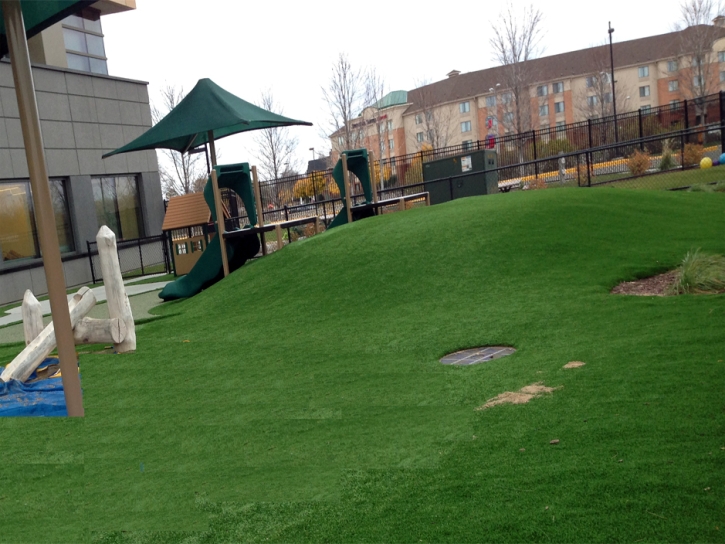 Outdoor Carpet Boyette, Florida Indoor Playground, Commercial Landscape