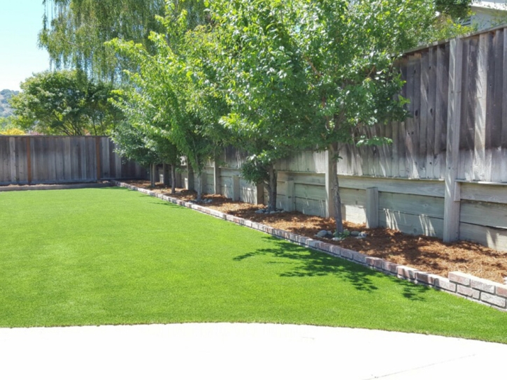 Outdoor Carpet Cedar Key, Florida Backyard Playground, Backyard Landscaping