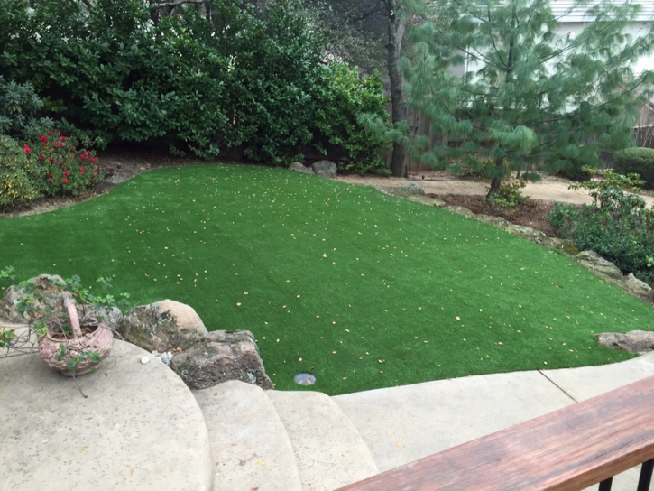 Plastic Grass Citrus Springs, Florida Lawns, Small Backyard Ideas