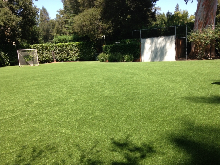 Plastic Grass Cross City, Florida Backyard Soccer, Beautiful Backyards