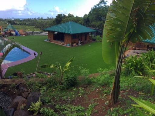 Plastic Grass Ocala, Florida Backyard Playground, Kids Swimming Pools