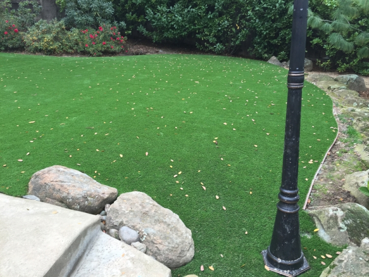 Plastic Grass Orlovista, Florida Backyard Deck Ideas, Backyards