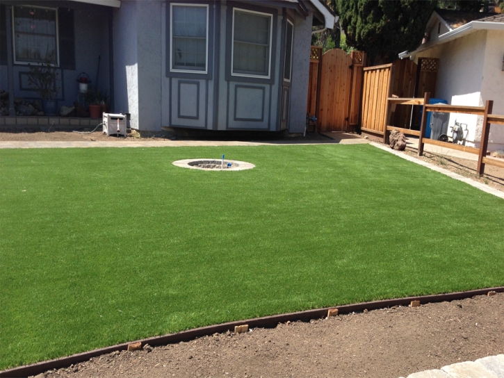 Plastic Grass Southchase, Florida Lawn And Garden, Backyard Landscaping Ideas
