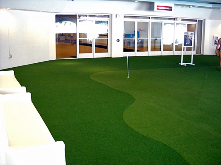 Synthetic Grass Belleair Shore, Florida Putting Green Grass, Commercial Landscape