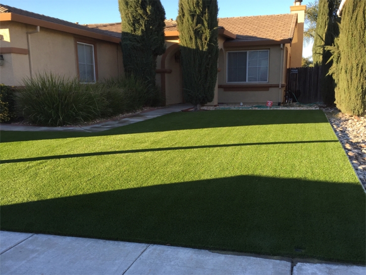 Synthetic Grass Charlotte Harbor, Florida Roof Top, Front Yard Ideas