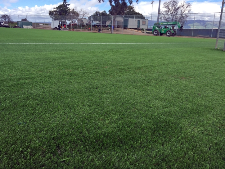 Synthetic Grass Cost Crystal River, Florida Stadium