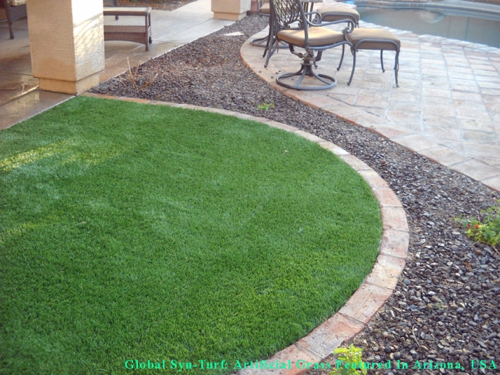 Synthetic Grass Cost Gandy, Florida Pet Grass, Front Yard Ideas