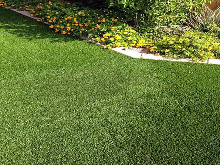 Synthetic Grass Cost Saint George, Florida Backyard Deck Ideas, Front Yard Landscape Ideas