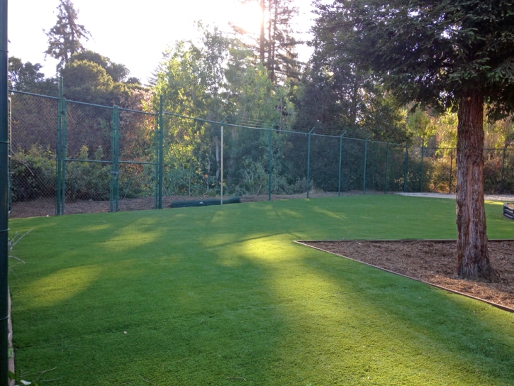 Synthetic Grass Mulberry, Florida Backyard Playground, Recreational Areas