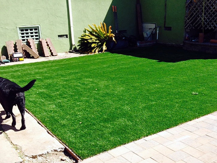 Synthetic Grass Orange City, Florida Dogs, Beautiful Backyards