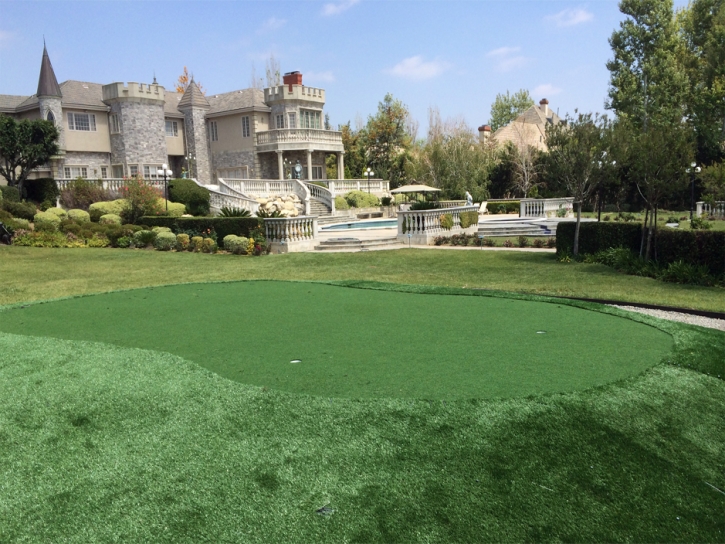 Synthetic Grass South Highpoint, Florida Rooftop, Front Yard Ideas