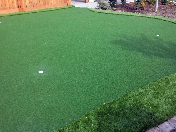 Synthetic Lawn Apollo Beach, Florida Putting Green Turf