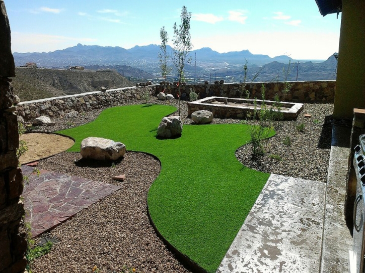 Synthetic Lawn Dunnellon, Florida Backyard Deck Ideas, Backyard Landscaping