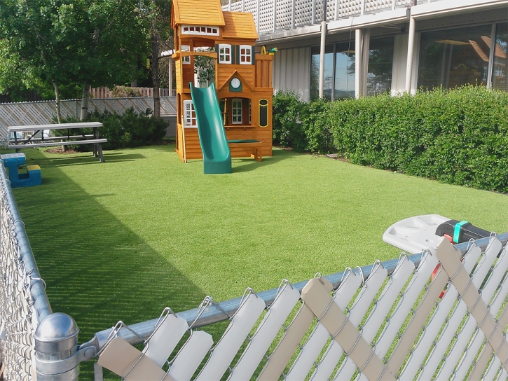 Synthetic Lawn Gotha, Florida Upper Playground, Beautiful Backyards