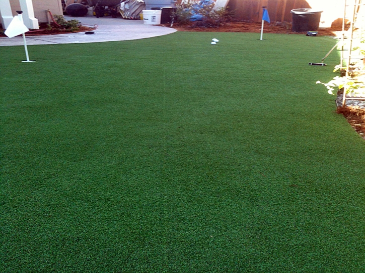 Synthetic Lawn Plant City, Florida Indoor Putting Green, Backyard Landscaping