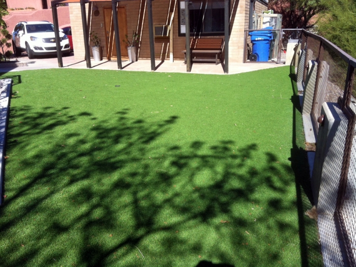 Synthetic Lawn Winter Garden, Florida Landscaping, Backyard Garden Ideas