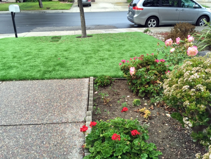 Synthetic Turf Kensington Park, Florida Design Ideas, Front Yard Landscaping