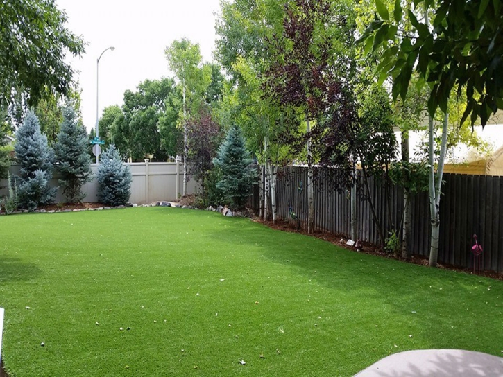 Synthetic Turf Mascotte, Florida Dog Run, Backyard Makeover