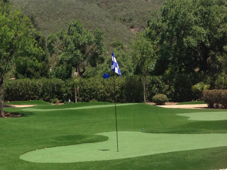 Synthetic Turf Ocoee, Florida Indoor Putting Green